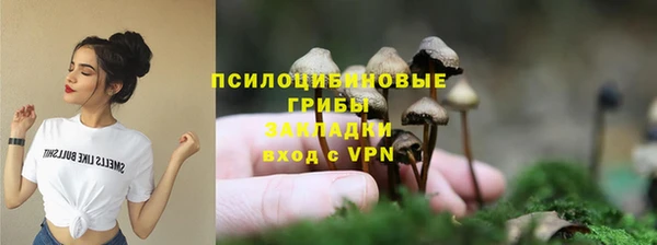 дурь Балахна