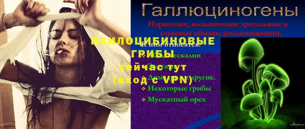 дурь Балахна