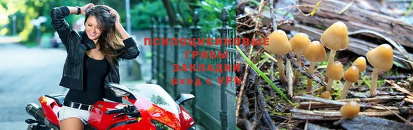 марки lsd Балабаново