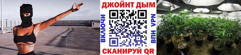 Бошки Шишки гибрид  блэк спрут маркетплейс  Белёв  где купить наркоту 